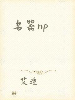 名器np封面