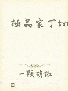 极品家丁txt
