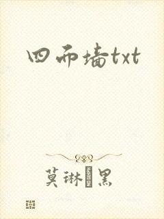 四面墙txt