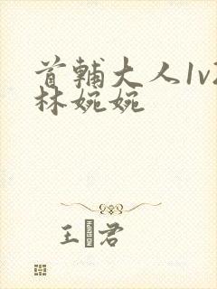 首辅大人1v2林婉婉