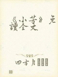 《小芳》免费阅读全文