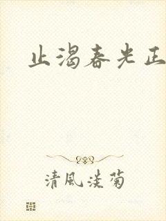 止渴春光正好封面