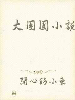 大团圆小说