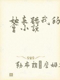 她来听我的演唱会小说