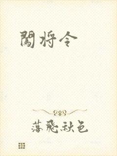 闯将令封面