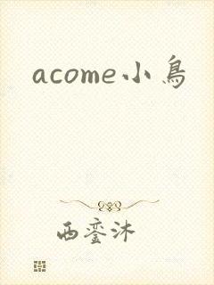acome小鸟