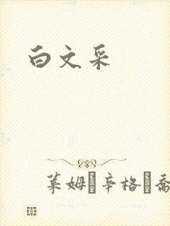 白文采封面