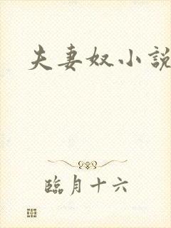 夫妻奴小说封面