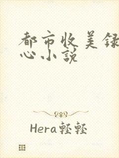 都市收美录宁素心小说封面
