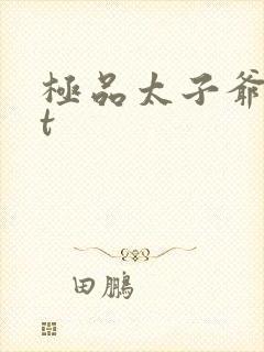 极品太子爷txt封面