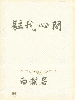 驻我心间封面