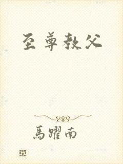 至尊教父封面