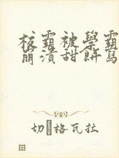 校霸被学霸玩到崩溃甜饼写手
