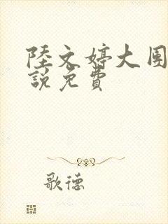 陆文婷大团圆小说免费封面