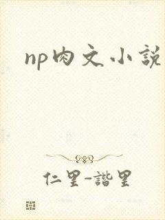 np肉文小说