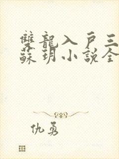 双龙入户三人行苏玥小说全文阅读