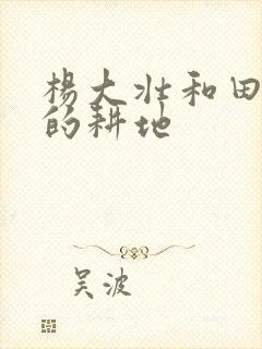 杨大壮和田桂花的耕地