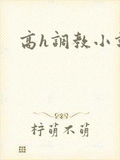 高h调教小说