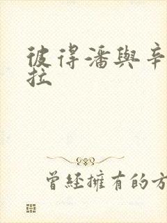 彼得潘与辛德瑞拉
