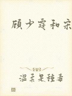 顾少霆和宋斯曼