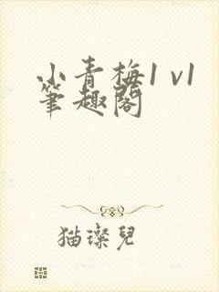 小青梅1 v1笔趣阁封面