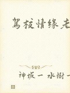 驾校情缘老赵