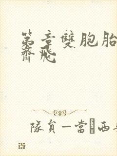 第章双胞胎姐妹齐飞