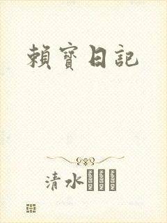 赖宝日记封面