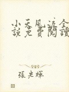 小天风流全集小说免费阅读