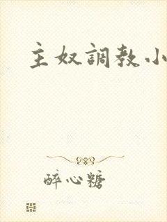 主奴调教小说封面