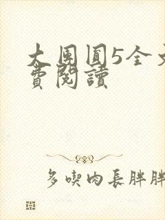 大团圆5全文免费阅读