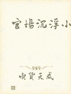 官场沉浮小说