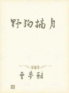 野狗摘月封面