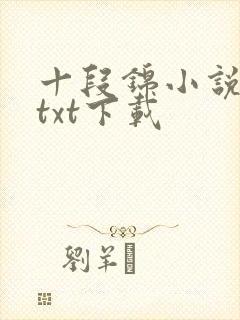 十段锦小说全本txt下载