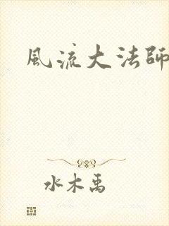 风流大法师封面