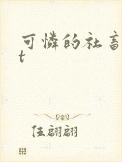可怜的社畜txt