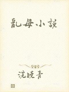 乱母小说