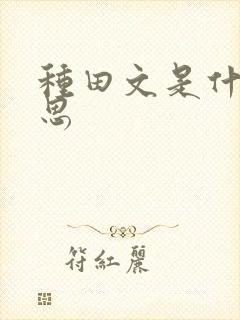 种田文是什么意思