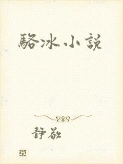 骆冰小说封面