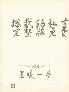 总裁的私有宝贝完整版免费阅读