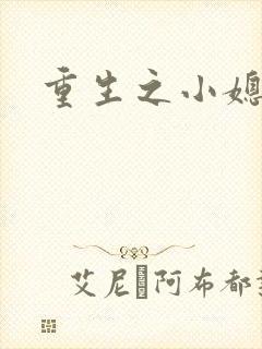 重生之小媳妇封面