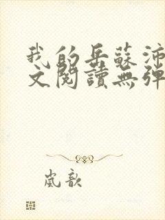 我的岳苏沛真全文阅读无弹窗笔趣阁