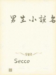 男生小说名字