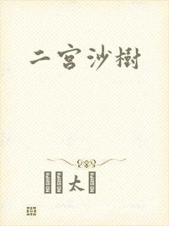 二宫沙树