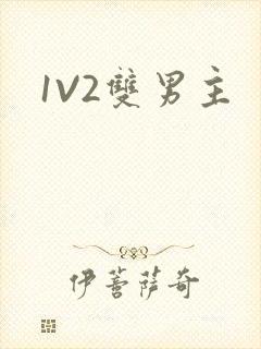 1V2双男主