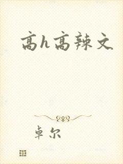 高h高辣文