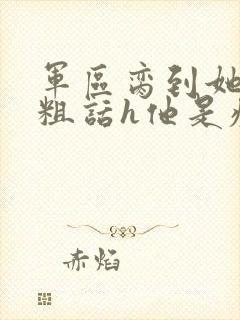 军区脔到她哭h粗话h他是疯批