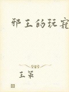邪王的玩宠