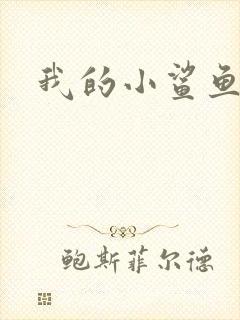 我的小鲨鱼