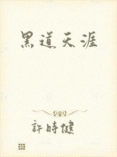 黑道天涯封面